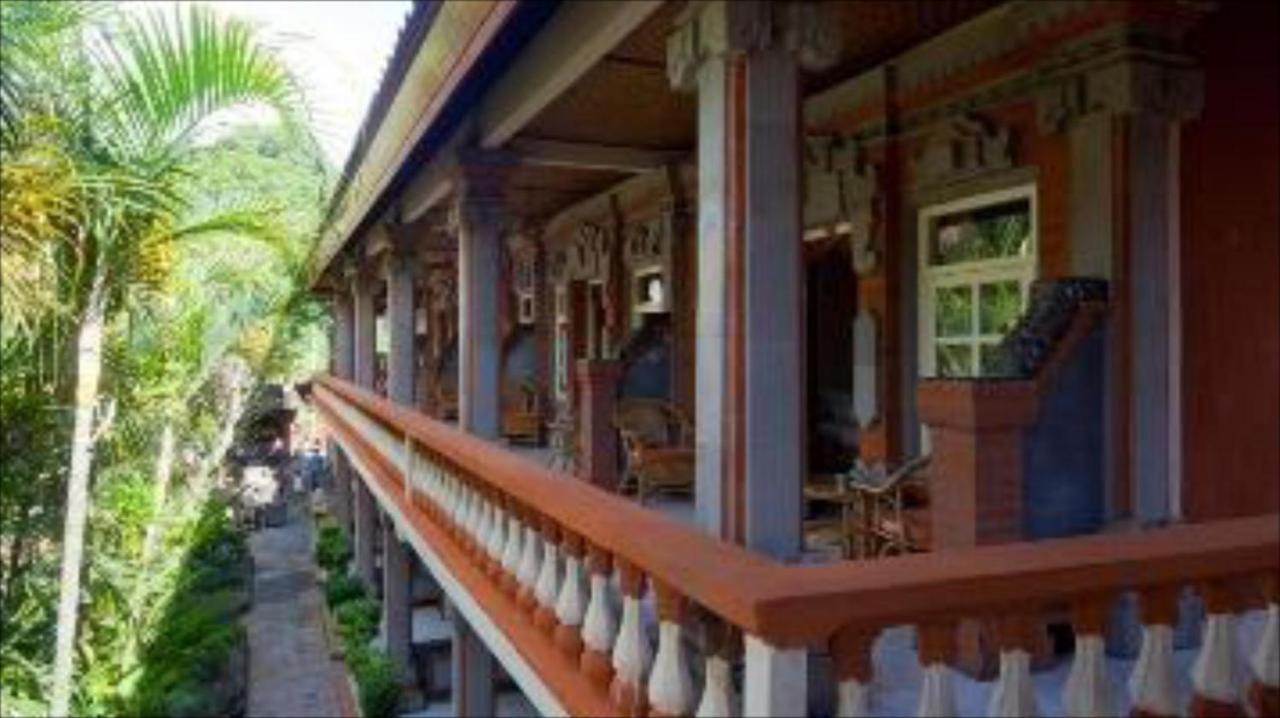 Hotel Chonos Ловина Экстерьер фото